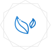 dev1_12